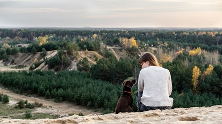 En person sitter på en sandig höjd bredvid en liten hund och blickar ut över ett vidsträckt landskap med skog och kullar i solnedgångsljus